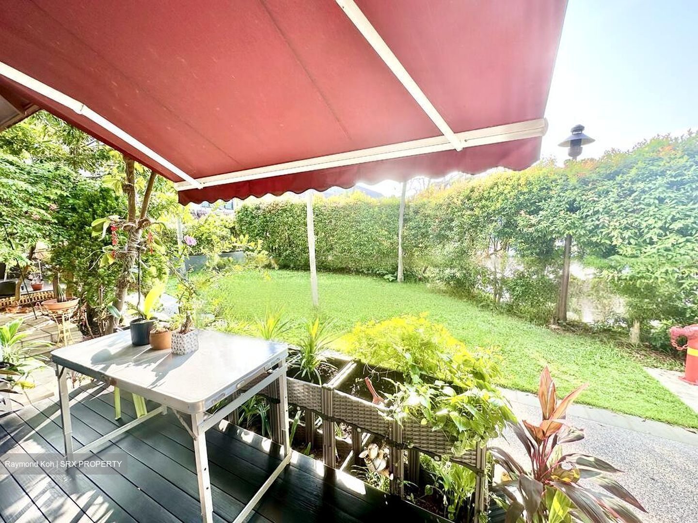 The Springfield (D16), Terrace #463044411